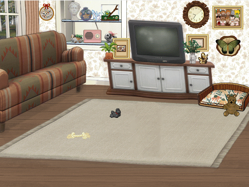 TV Room