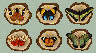 Moss Paper Butterflies Deco Toy
